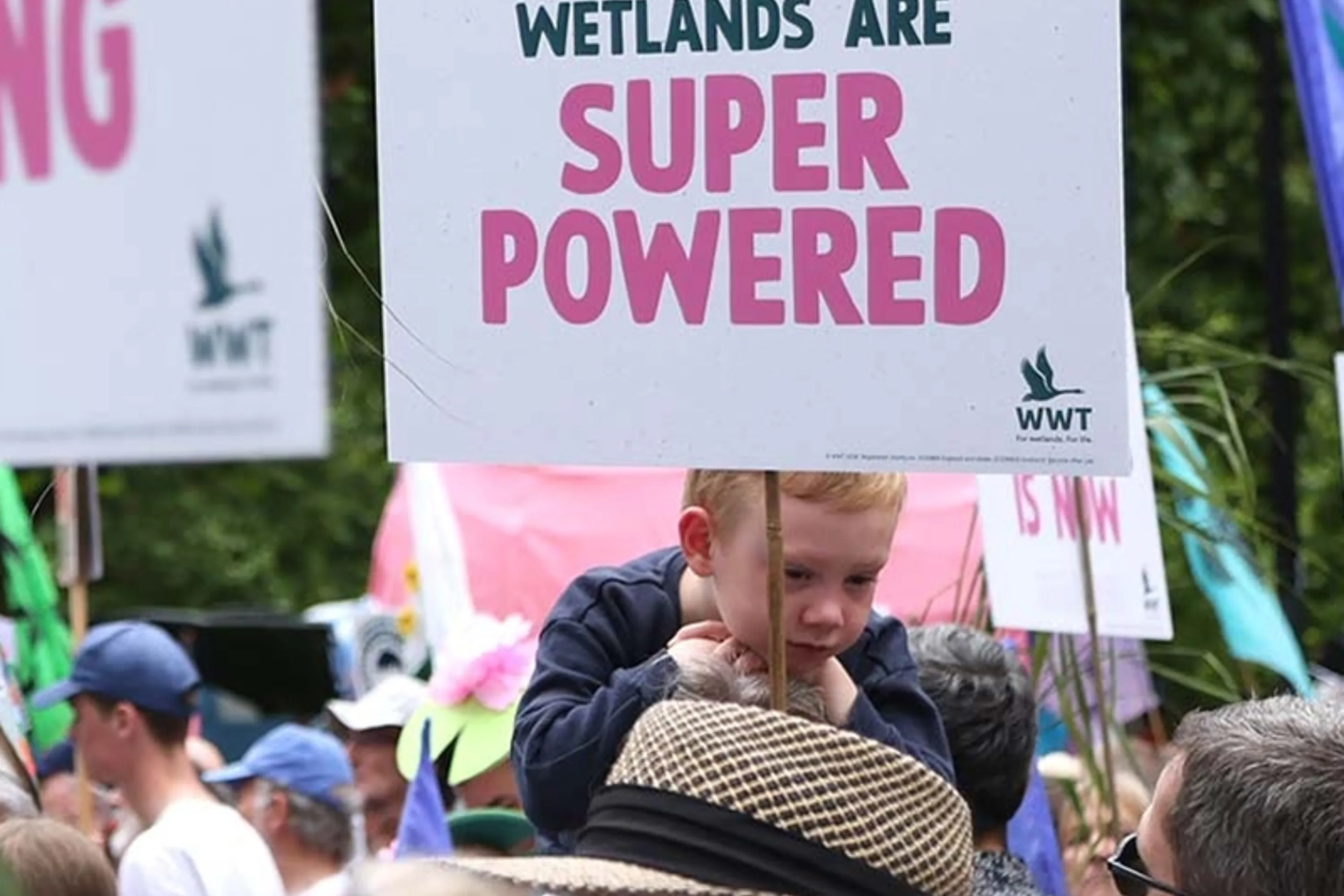 People at a march holding signs that read "Wetlands are super-powered"