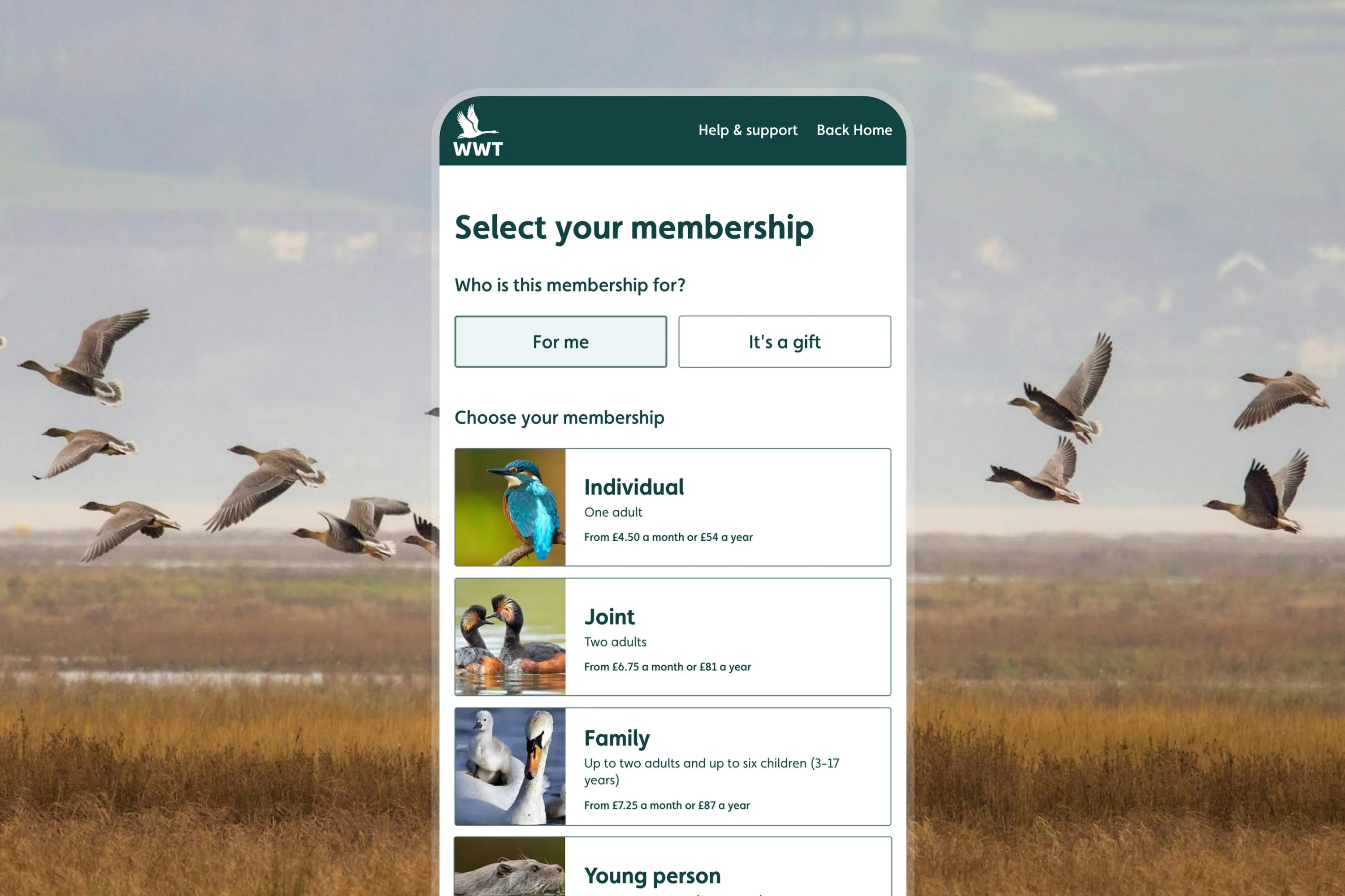 Mobile membership portal interface