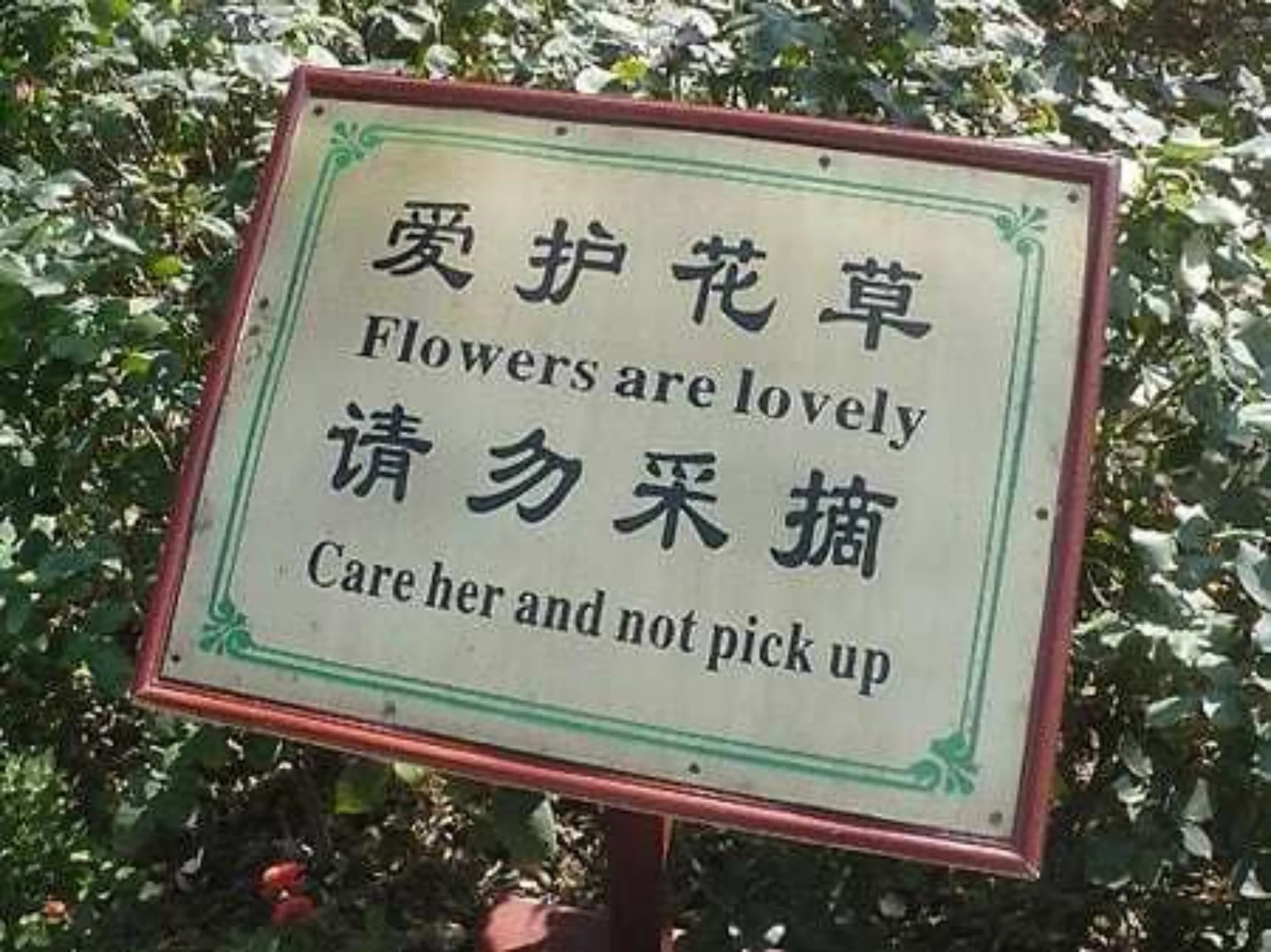 Sign with characters translated into mangled English "Flowers are lovely. Care her and not pick up"