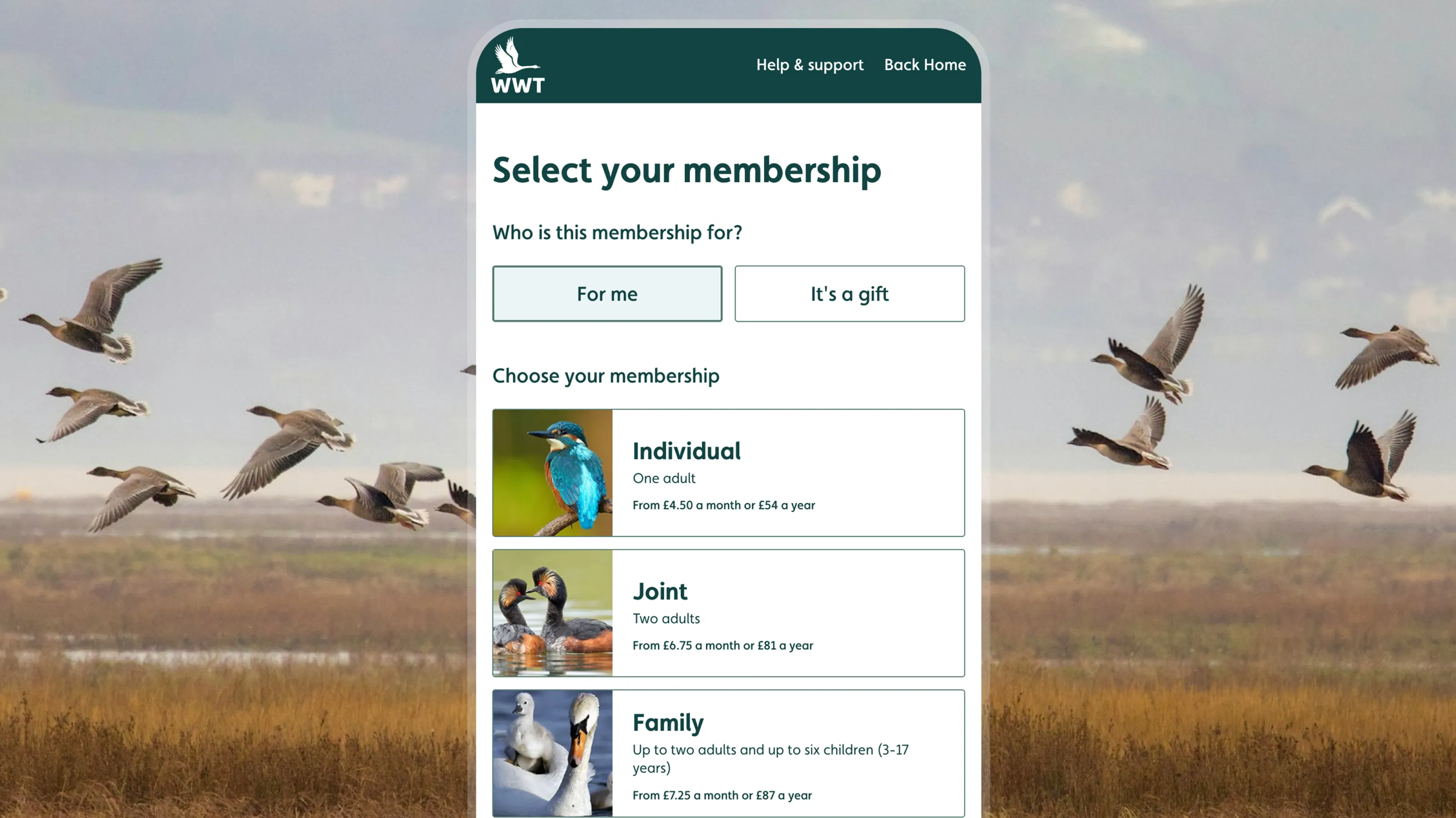 Mobile membership portal interface